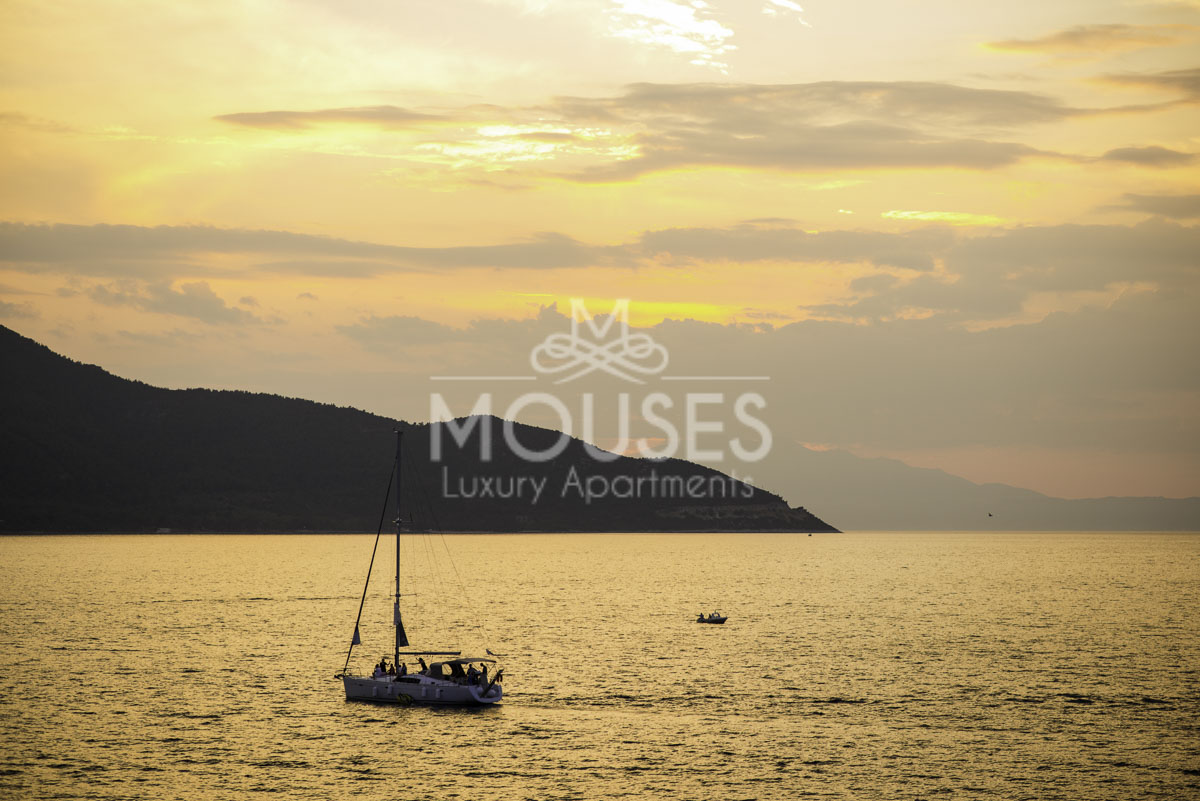 Mouses Apartments 23